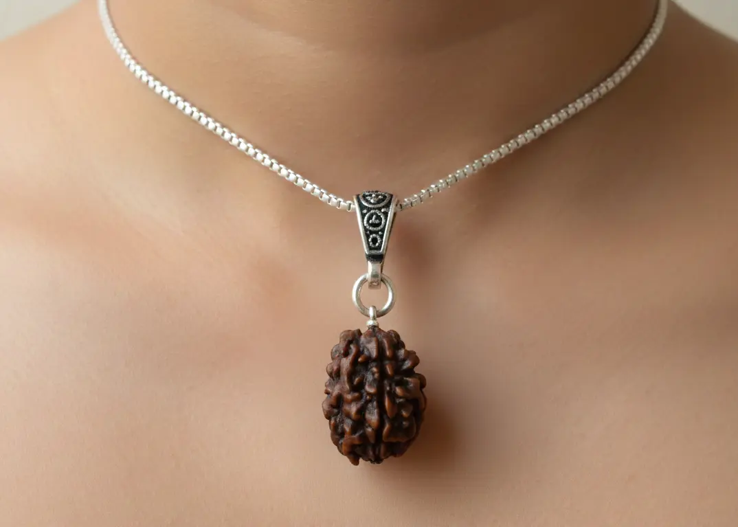 2 Mukhi Rudraksha